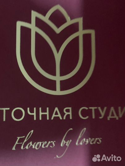 Бази лика -2