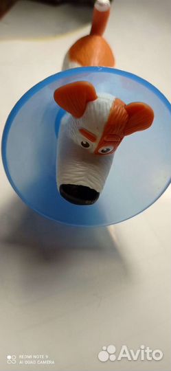 Тайная жизнь домашних животных