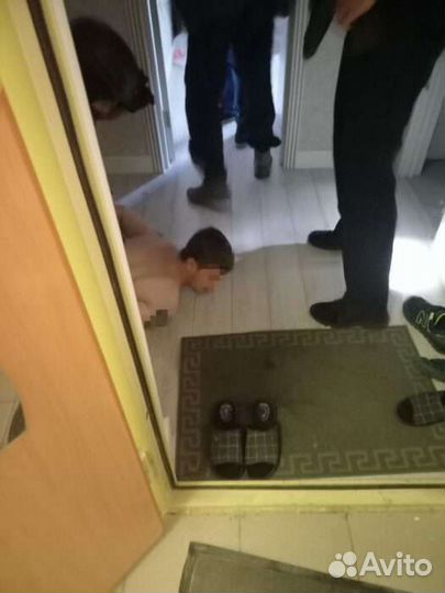 Деньги Шутка