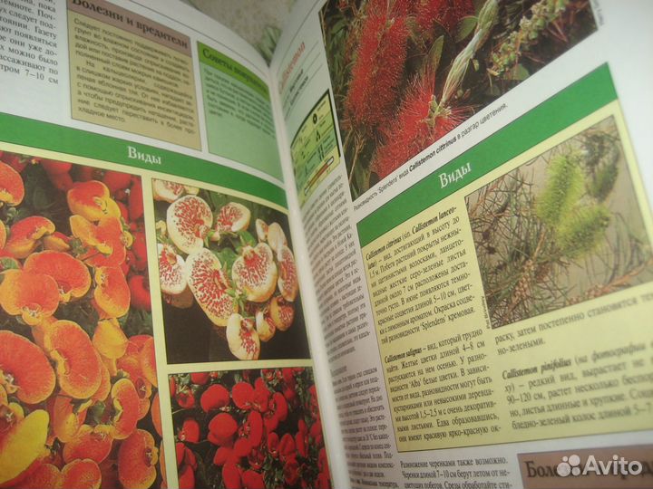 Книги по цветоводству