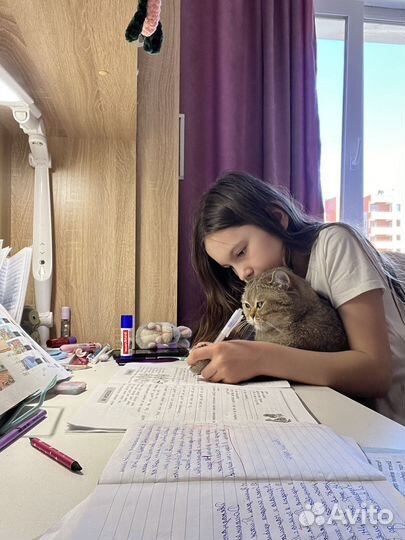 Репетитор для детей с 2 по 6 классы