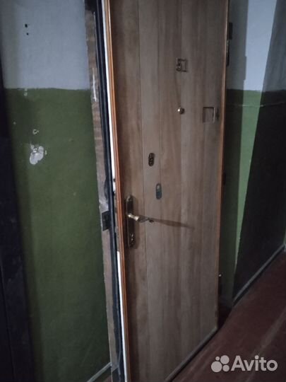 Железные двери Входная