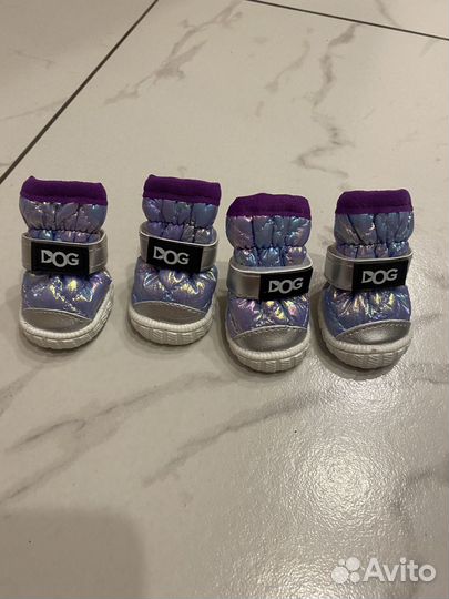Обувь для собак