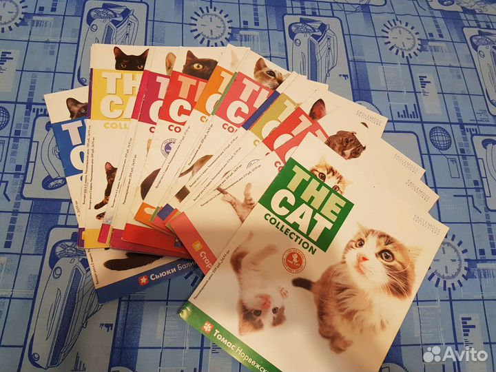 The cat collection