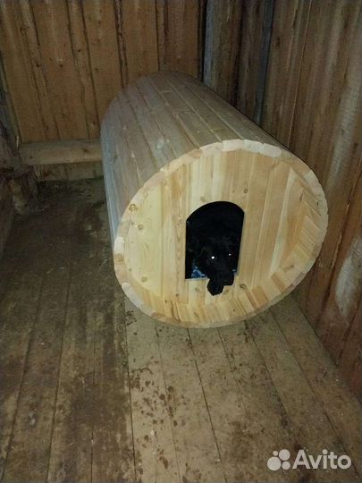 Будка для собаки