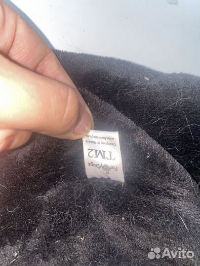 Одежда для маленьких собак