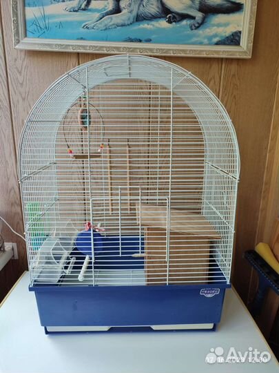 Большая клетка для птиц
