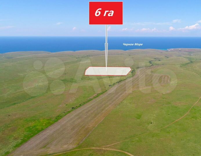 Участок 6 га (СНТ, ДНП)