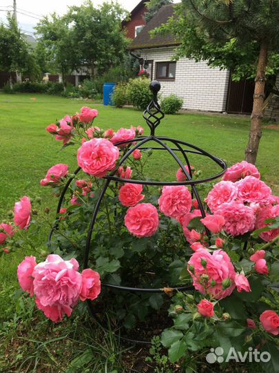 Опора под растения 