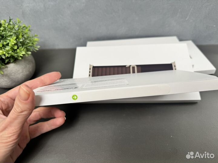 Оригинал Apple Alpine Loop ремешок