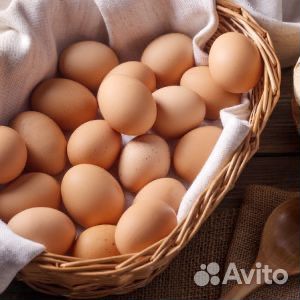 Домашние яйца