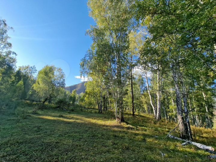 Участок 10 сот. (СНТ, ДНП)