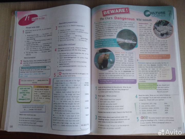 Учебник по английскому языку 9 класс