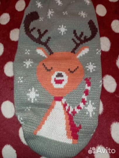 Одежда для собаки