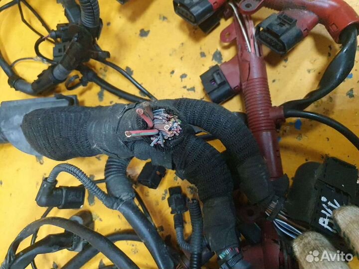 Проводка коса подкапотная 4.2 BVJ Audi A8
