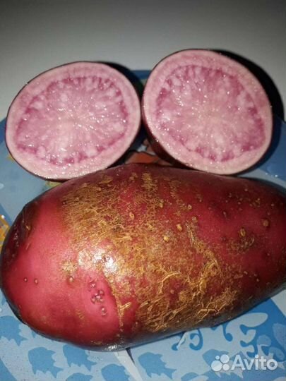 Картофель на посадку