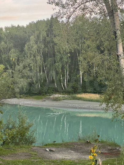 Участок 20 сот. (СНТ, ДНП)