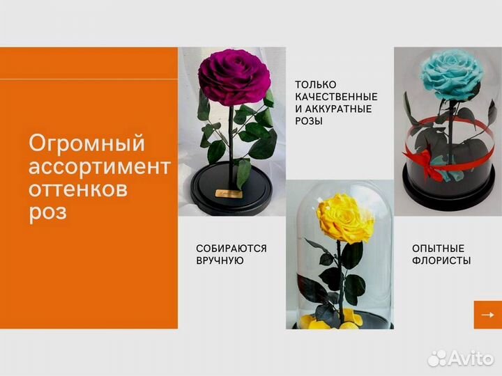 Розы в колбе разные