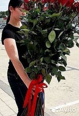 Высокие розы Гигантские розы с доставкой