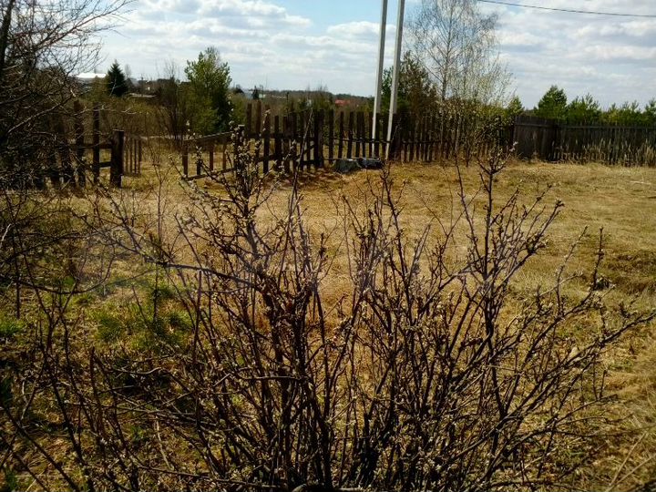 Участок 6 сот. (СНТ, ДНП)