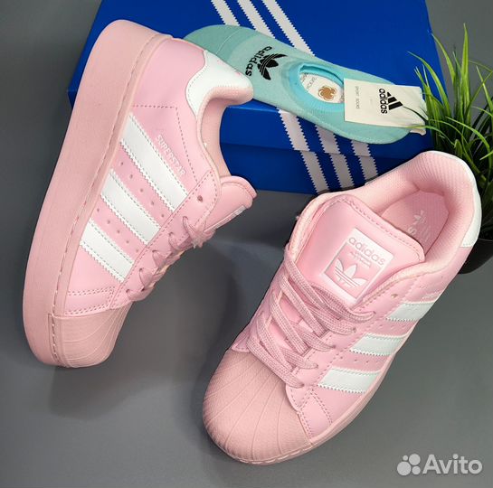 Adidas superstar хит сезона