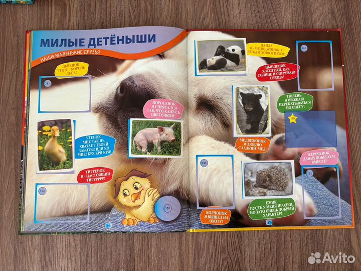 Альбом для наклеек panini super animals