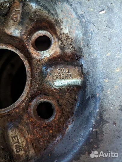 Yokohama Ice Guard IG50+ 205/55 R16