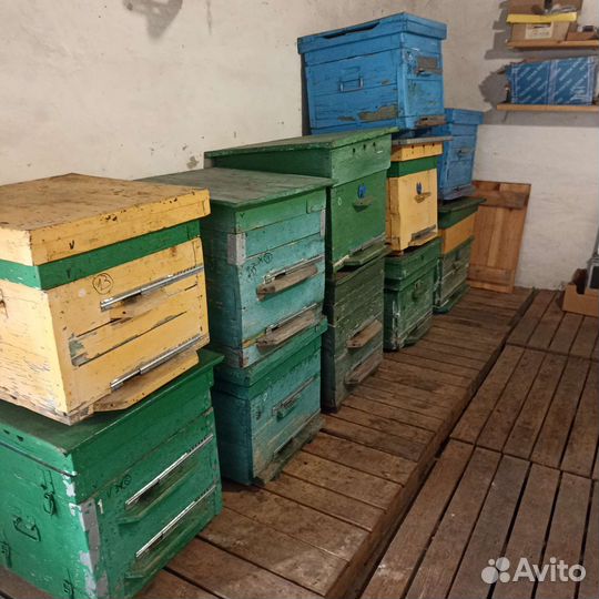 Улей для пчел бу