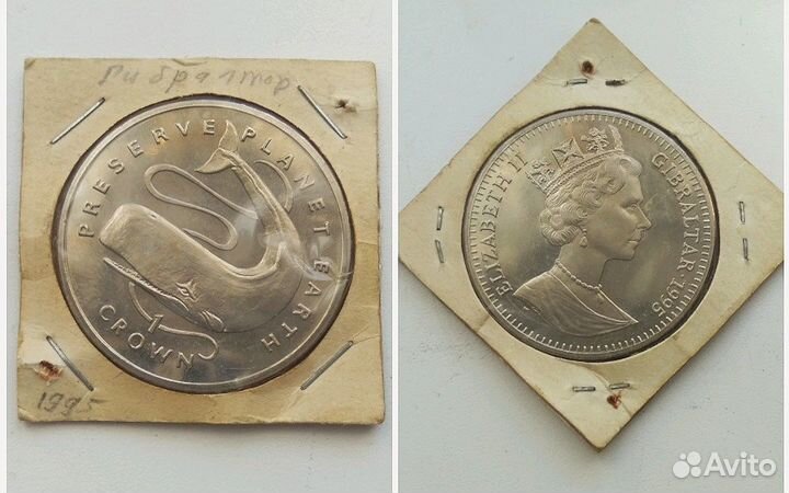 Монета с китом