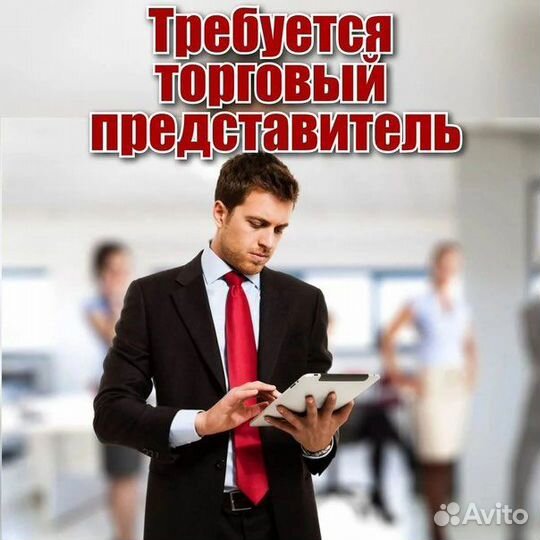 Торговый представитель