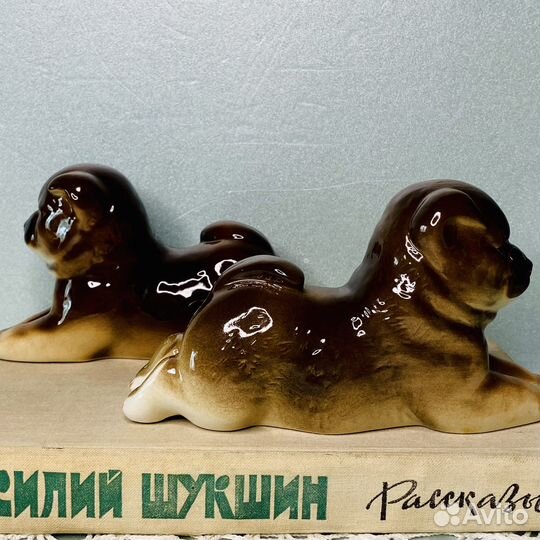Собака лфз