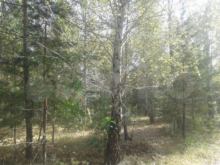 Участок 30 сот. (СНТ, ДНП)