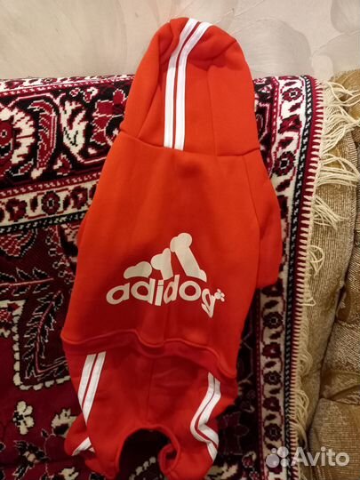 Одежда для собак