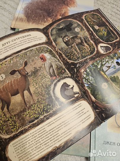 Книги для детей