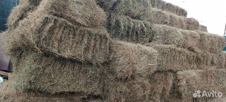 Напол древесный опт и роз сено в кипах солома в ме