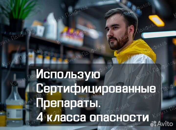 Уничтожение клопов и тараканов в Петергофе и ло