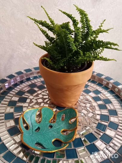 Тарелка монстера глина ручная работа