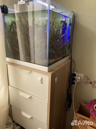 Аквариум с рыбками