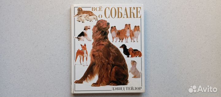 Всё о собаке. 2001 (д.тейлор)