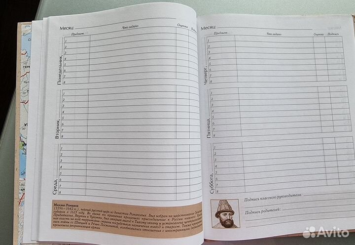 Дневник российского школьника