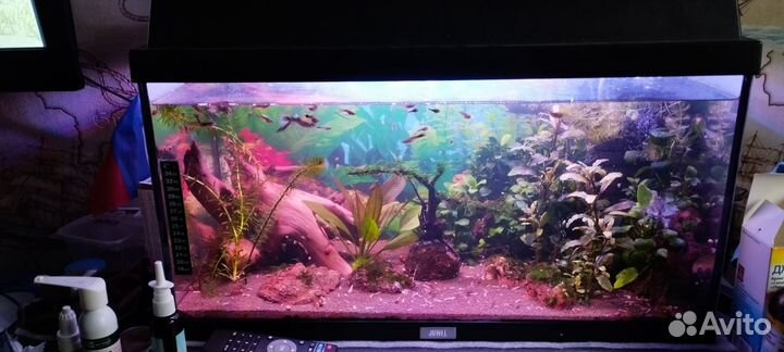 Аквариум 60 литров