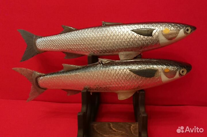 Замануха - пара (сингиль) для подводной охоты