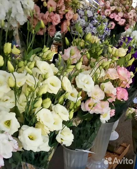 Лизиантус букет, цветы эустома