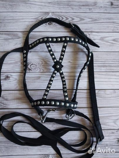 Уздечка для лошади