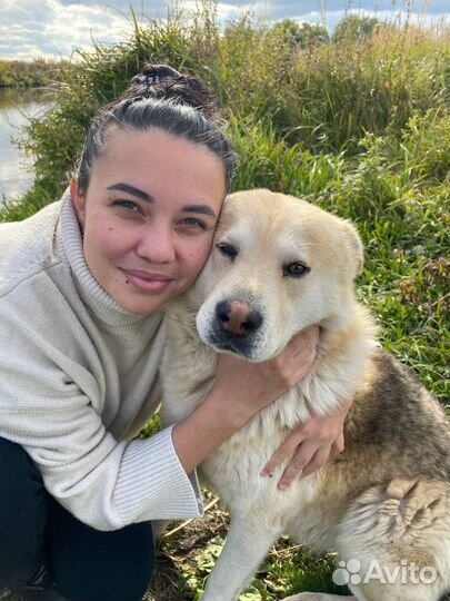 Передержка для собак любых пород