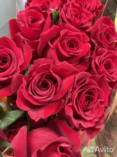 Цветы розы и букеты с доставкой