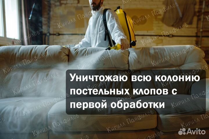 Уничтожение клопов и тараканов в Петергофе и ло