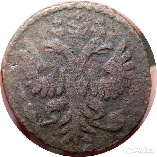 Полушка 1731 года: медуза, редкая