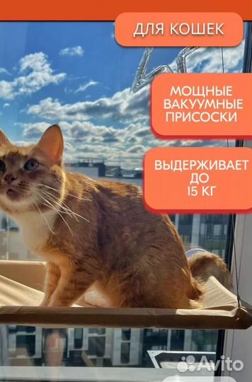 Товары для кошек:игровой тоннель, гамак-лежанка