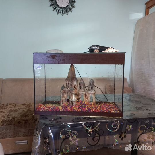 Аквариум